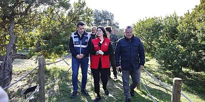 çeşme