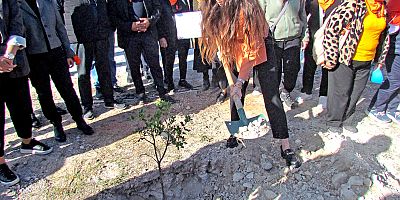 Şiddete Karşı Sessiz Çığlık: Çeşme’de 411 Kadın İçin 411 Fidan